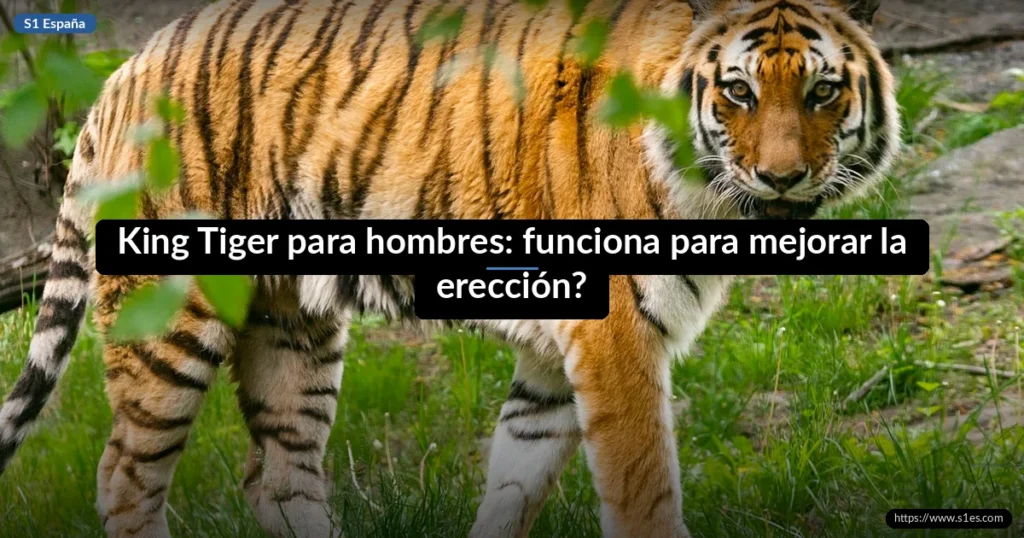 King Tiger para hombres: funciona para mejorar la erección? 3 King Tiger para hombres: funciona para mejorar la erección?
